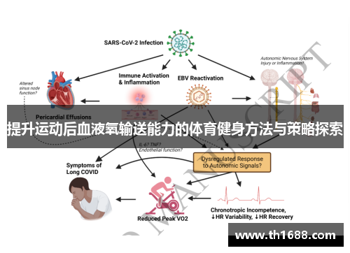 提升运动后血液氧输送能力的体育健身方法与策略探索